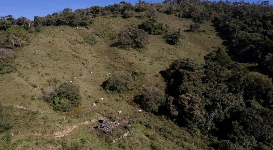 Plot for sale of 42 acres in Itapeva, MG, Brazil