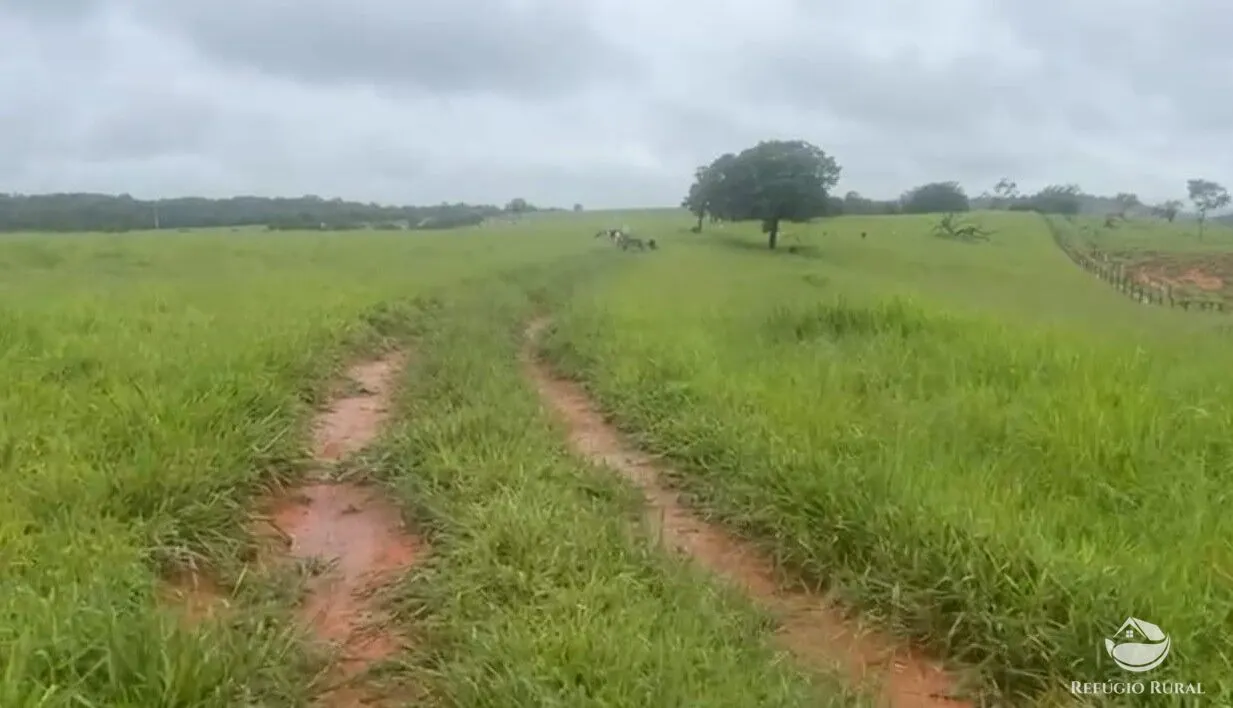 Fazenda à venda de 135 ha em Patos de Minas, MG, Brasil