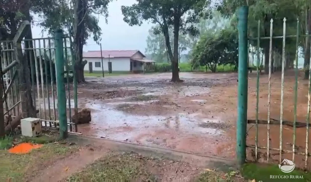 Fazenda à venda de 135 ha em Patos de Minas, MG, Brasil