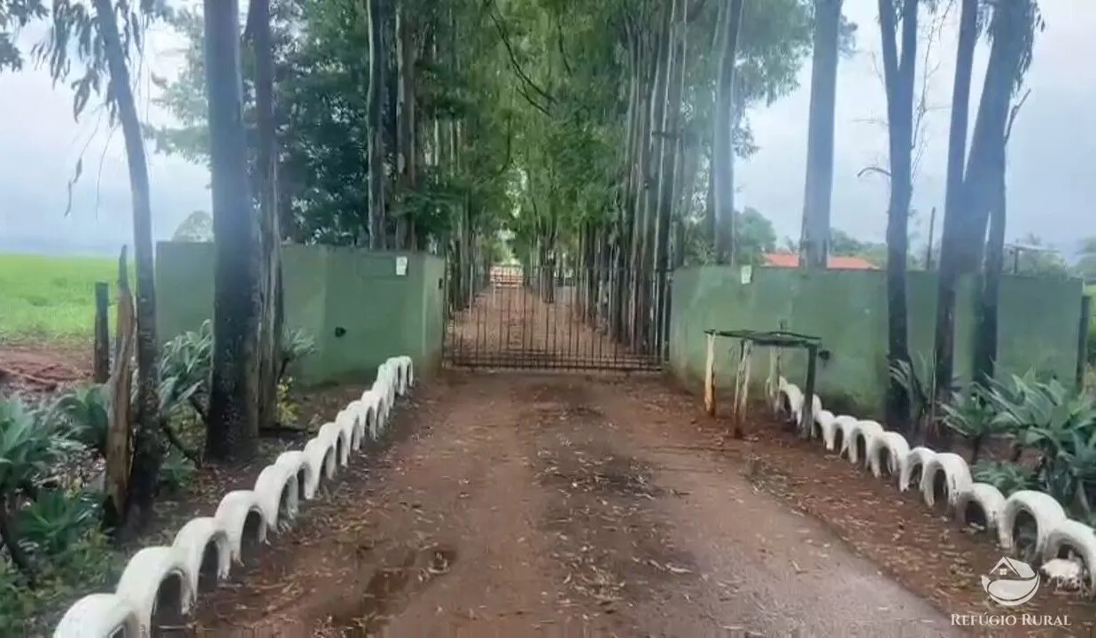 Fazenda à venda de 135 ha em Patos de Minas, MG, Brasil