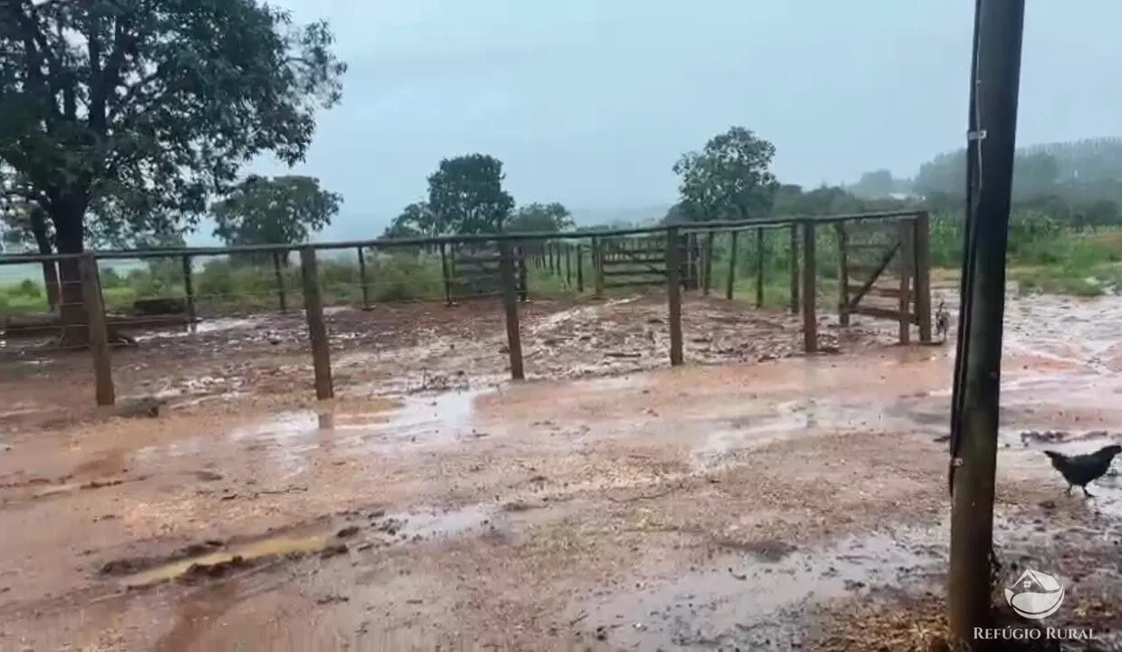 Fazenda à venda de 135 ha em Patos de Minas, MG, Brasil