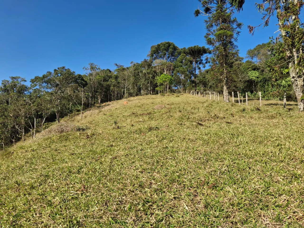 Terreno à venda de 2 ha em São José dos Campos, SP, Brasil