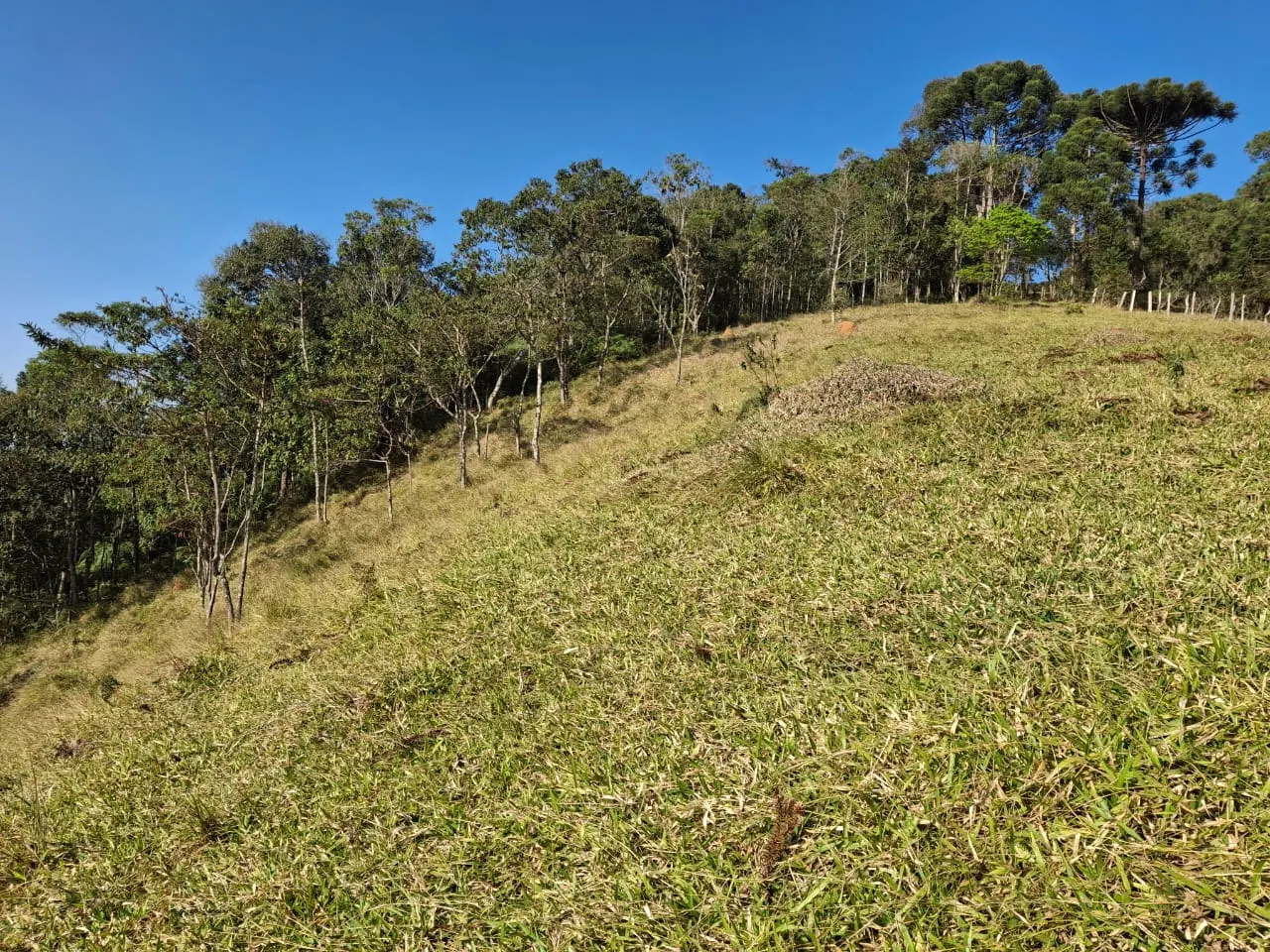Terreno à venda de 2 ha em São José dos Campos, SP, Brasil