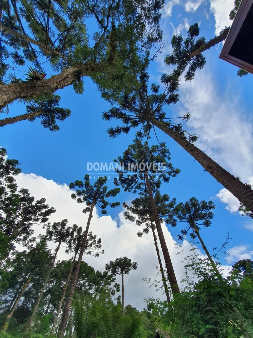 Casa à venda de 5.310 m² em Campos do Jordão, SP, Brasil