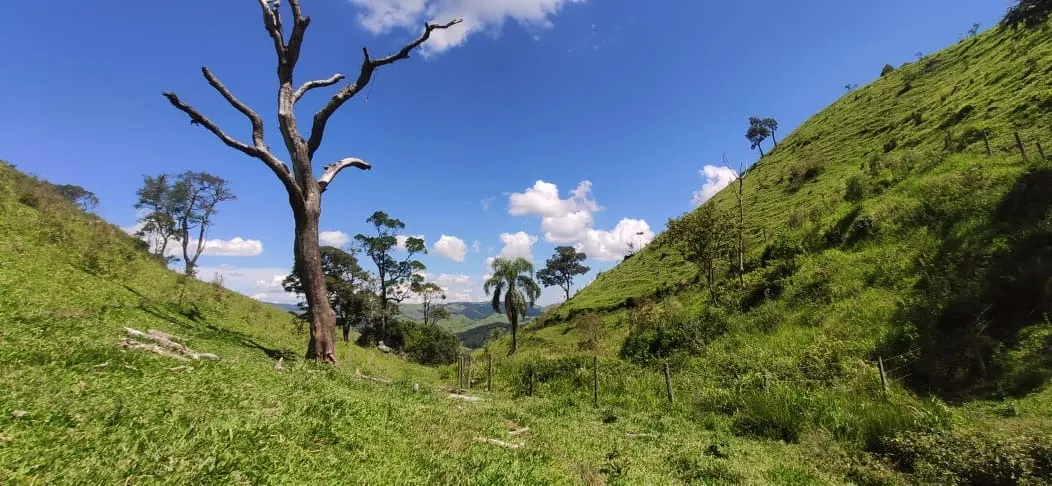 Fazenda à venda de 109 ha em São Luiz do Paraitinga, SP, Brasil