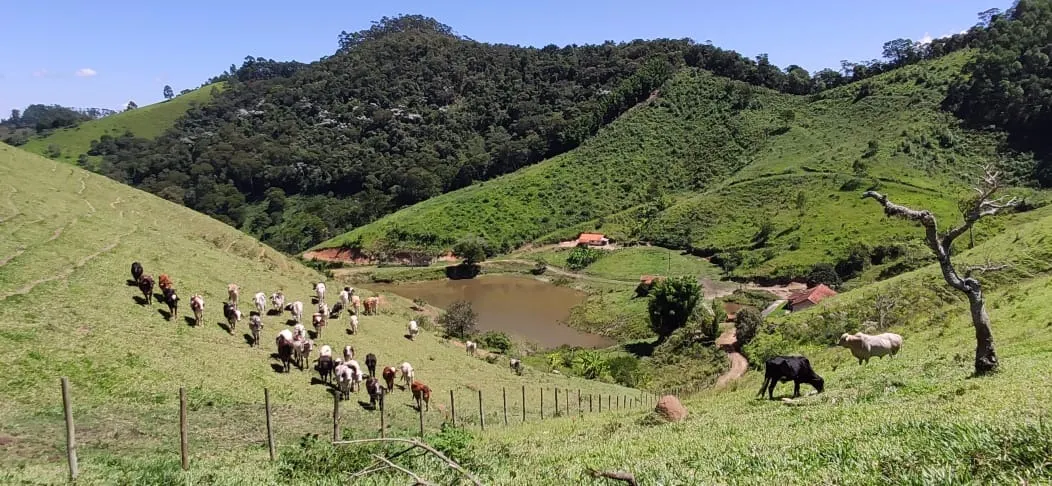 Fazenda à venda de 109 ha em São Luiz do Paraitinga, SP, Brasil