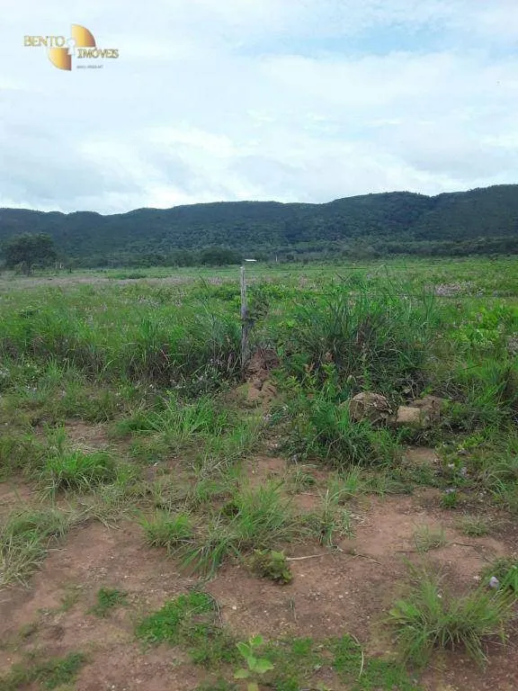 Fazenda à venda de 500 ha em Rosário Oeste, MT, Brasil