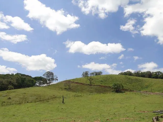 Fazenda à venda de 290 ha em Lambari, MG, Brasil