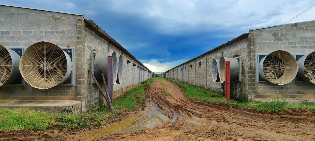 Fazenda à venda de 29 ha em Porangaba, SP, Brasil