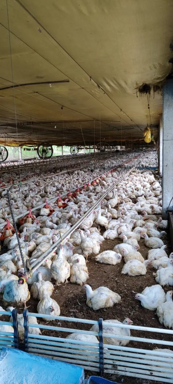 Fazenda à venda de 29 ha em Porangaba, SP, Brasil