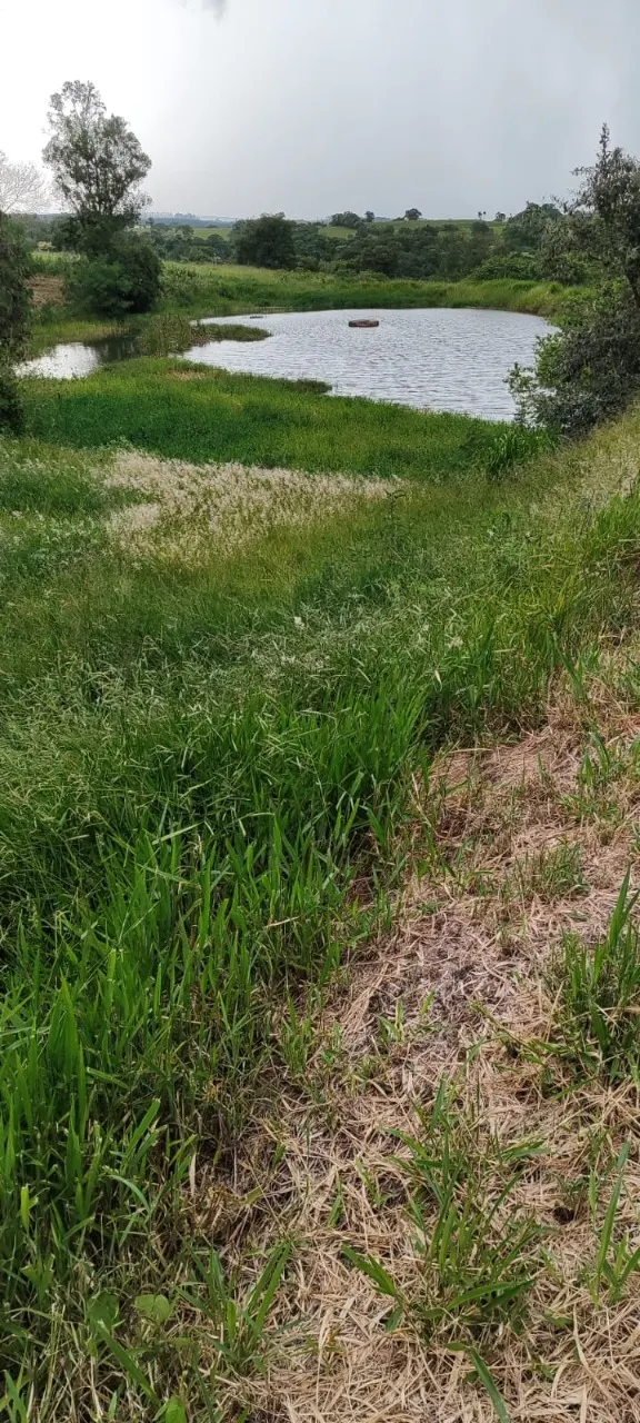 Fazenda à venda de 29 ha em Porangaba, SP, Brasil