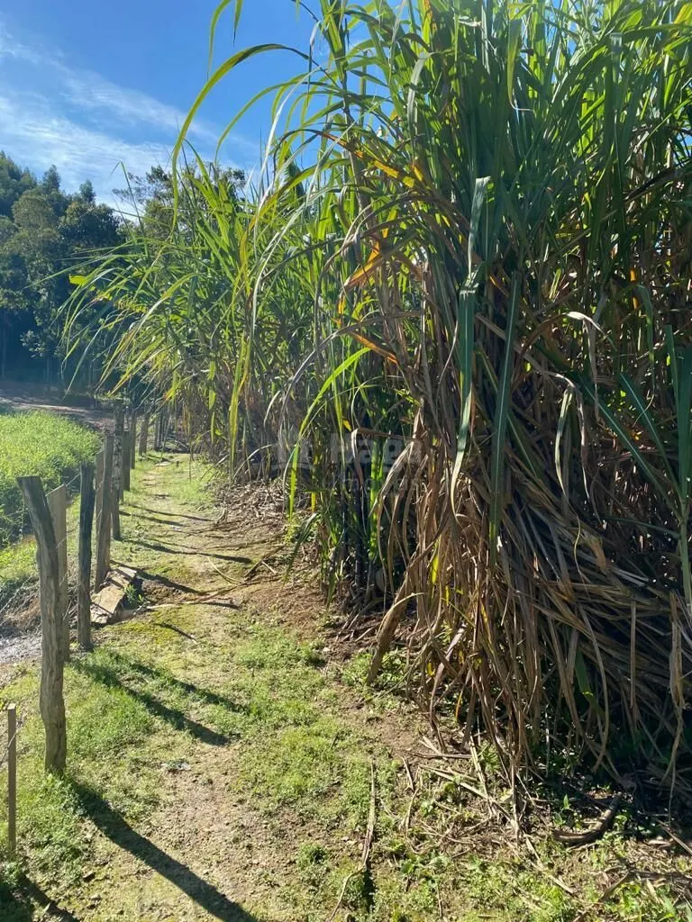 Fazenda à venda de 1.800 m² em Canelinha, SC, Brasil