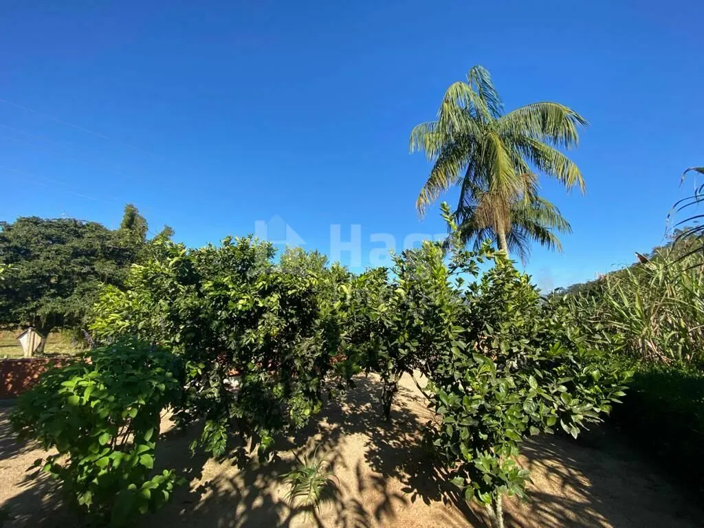Fazenda à venda de 1.800 m² em Canelinha, SC, Brasil
