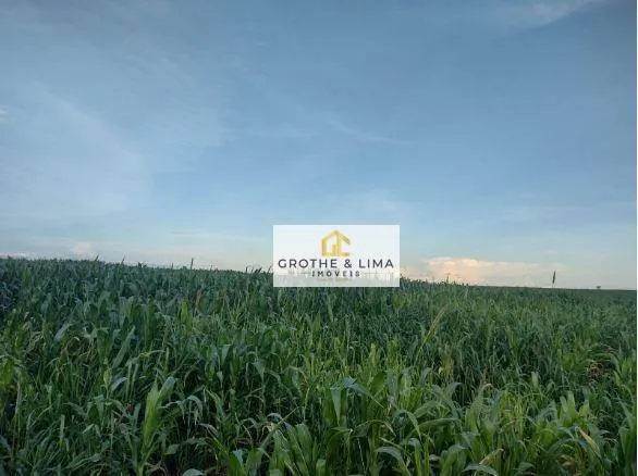 Fazenda à venda de 1.210 ha em Araguaína, TO, Brasil
