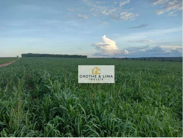 Fazenda à venda de 1.210 ha em Araguaína, TO, Brasil