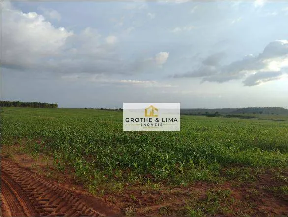 Fazenda à venda de 1.210 ha em Araguaína, TO, Brasil