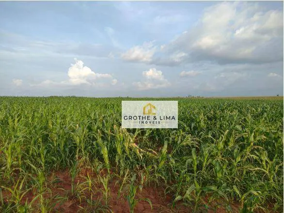 Fazenda à venda de 1.210 ha em Araguaína, TO, Brasil