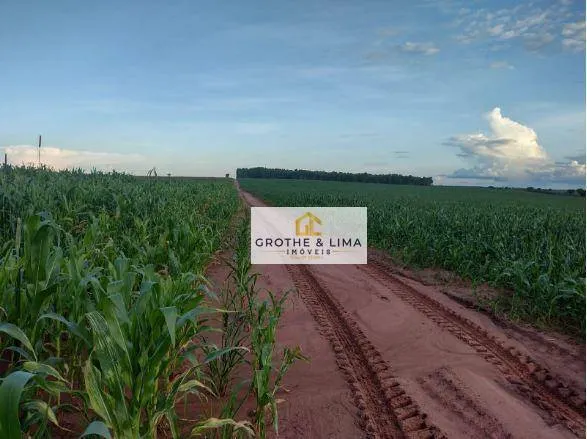 Fazenda à venda de 1.210 ha em Araguaína, TO, Brasil