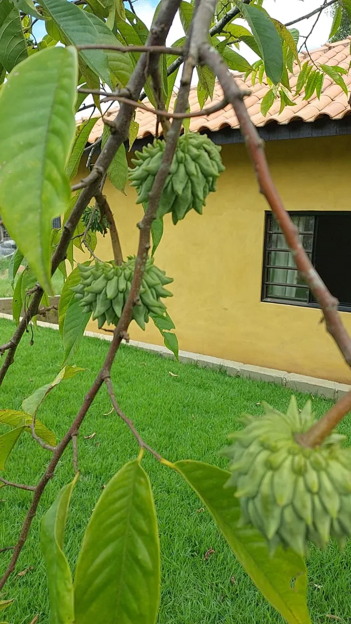 Sítio à venda de 11 ha em Tiradentes, MG, Brasil