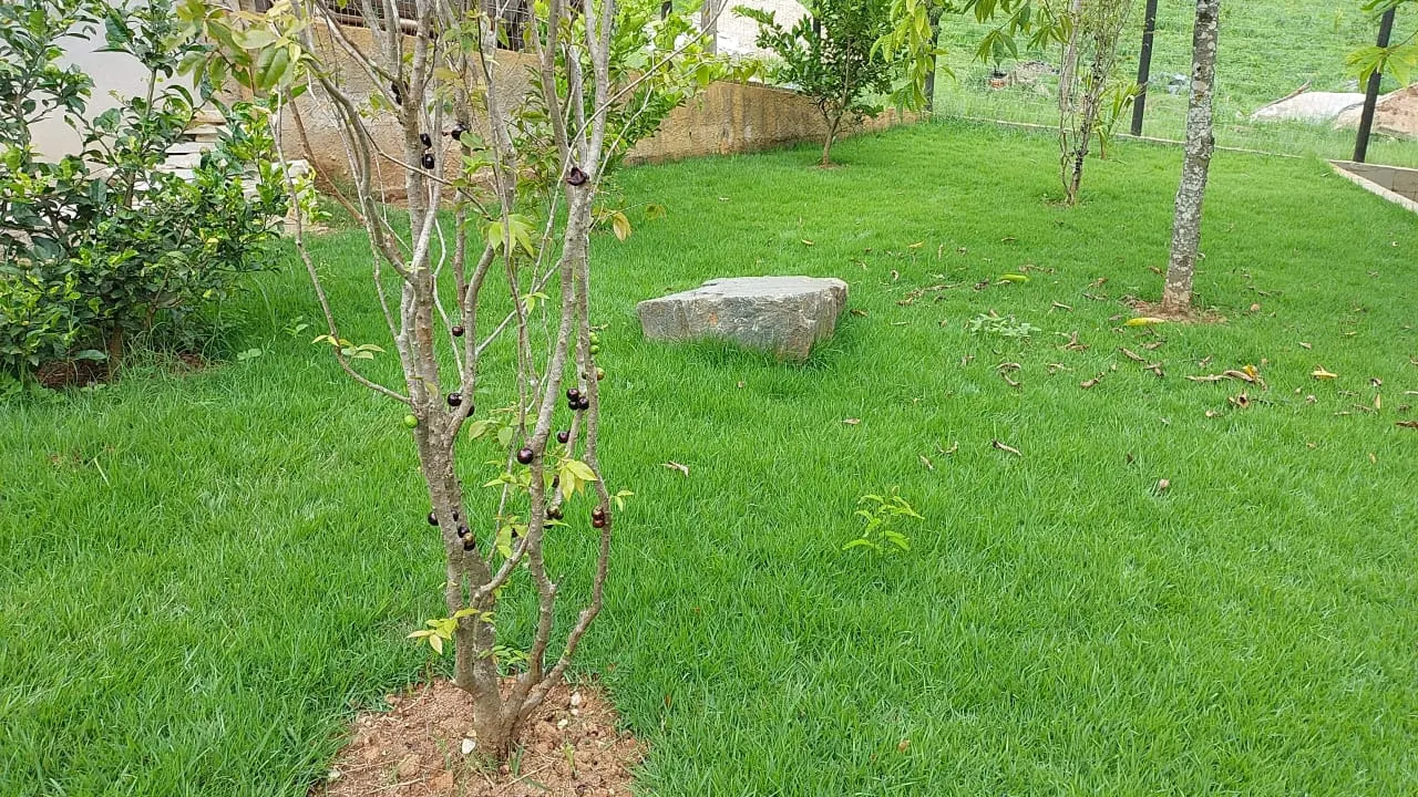 Sítio à venda de 11 ha em Tiradentes, MG, Brasil