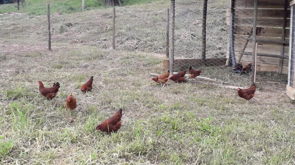Sítio à venda de 11 ha em Tiradentes, MG, Brasil