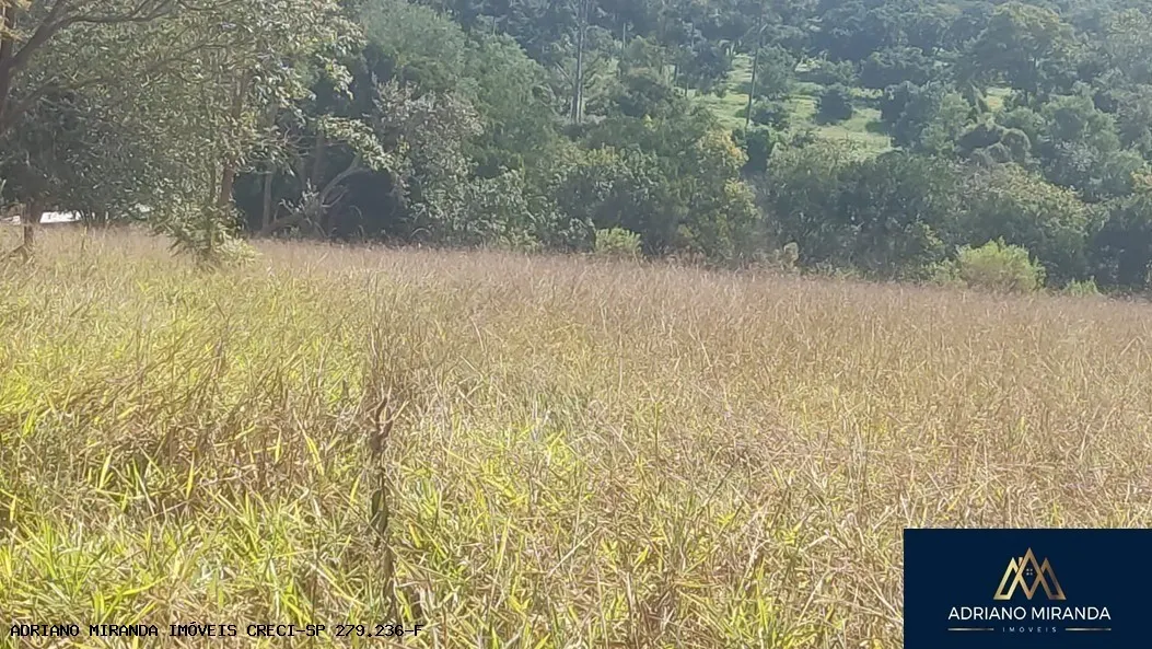 Small farm for sale of 7 acres in Cerqueira César, SP, Brazil