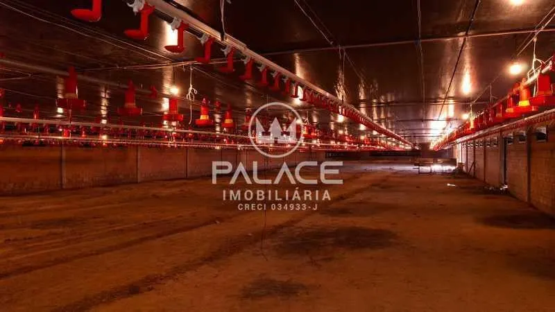 Farm for sale of 133,437 acres in Tietê, SP, Brazil