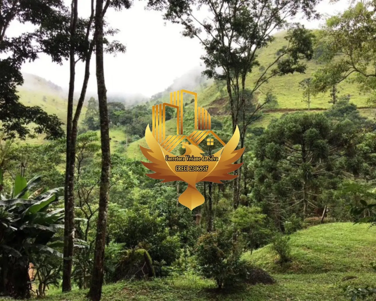 Small farm for sale of 6 acres in São José dos Campos, SP, Brazil