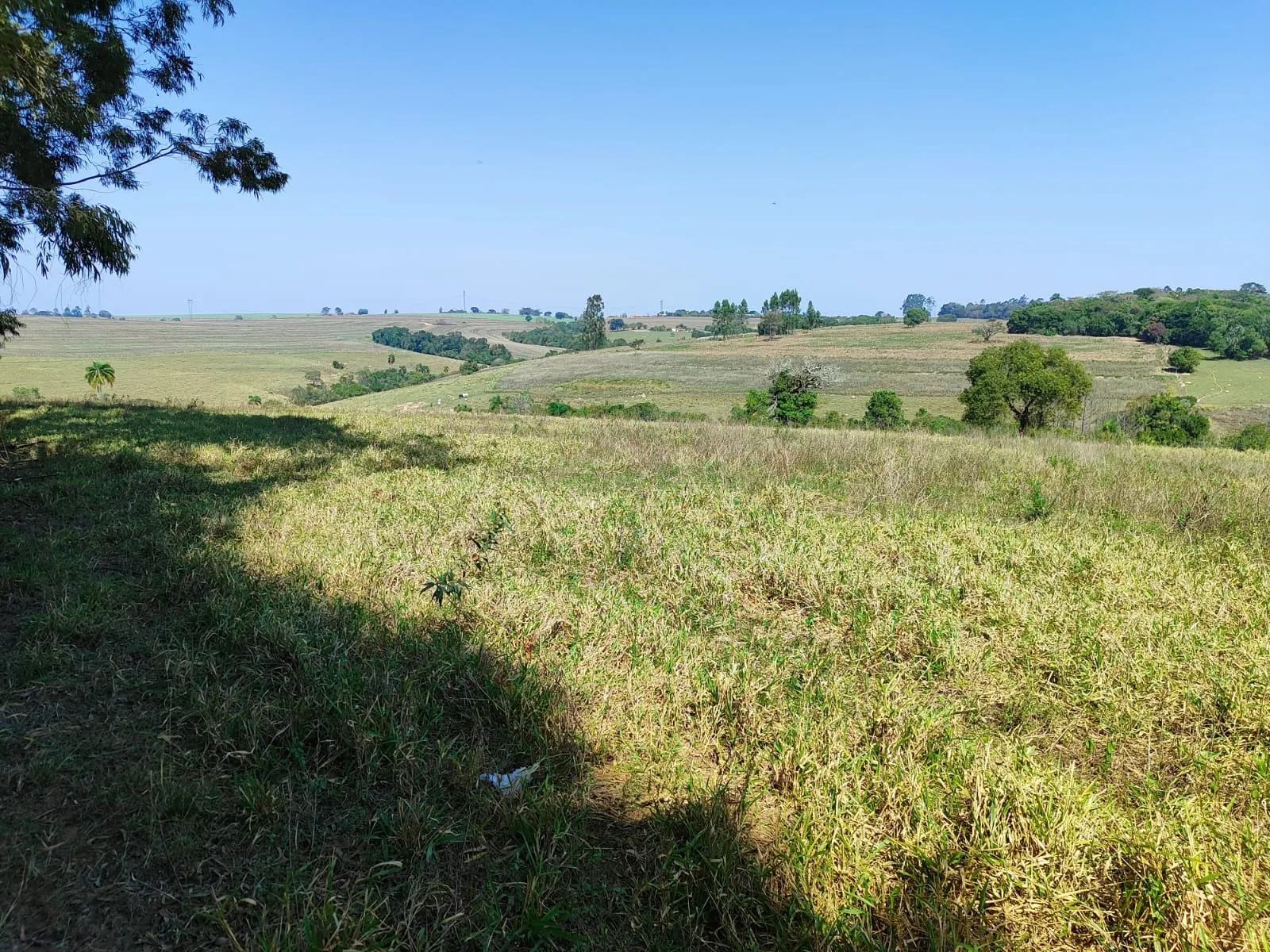 Sítio à venda de 30 ha em Itapetininga, SP, Brasil