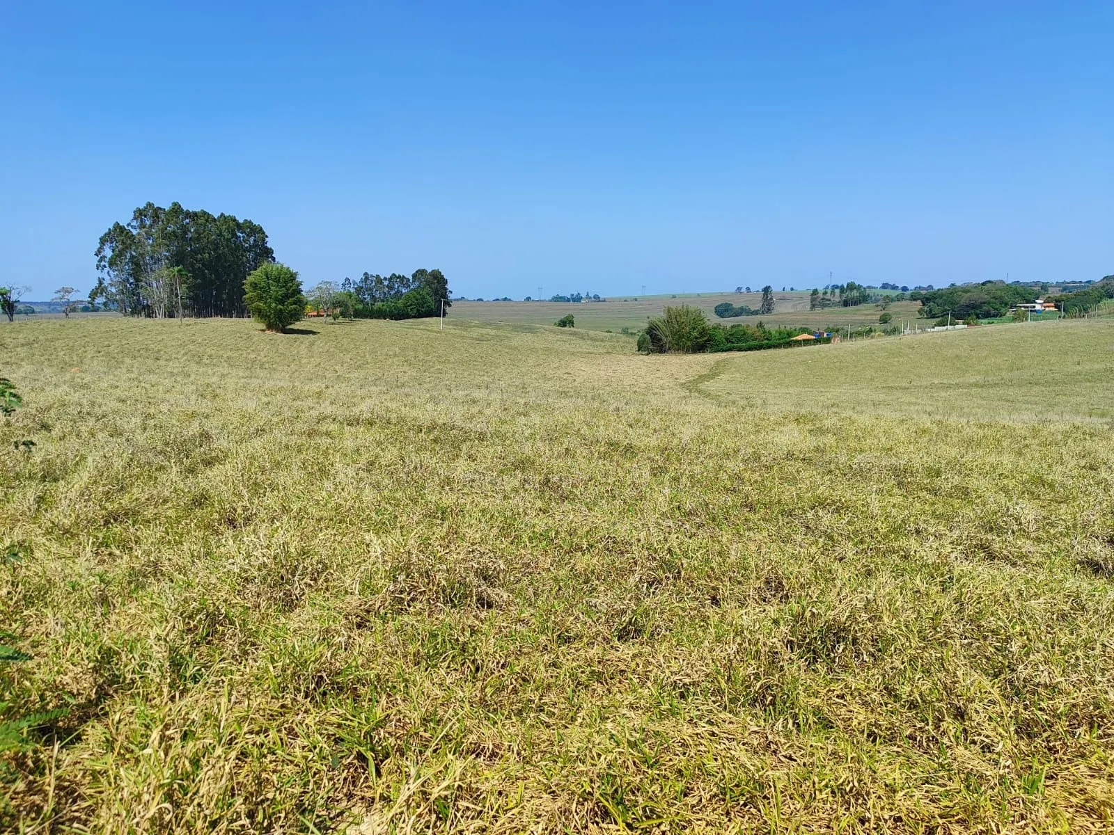 Sítio à venda de 30 ha em Itapetininga, SP, Brasil