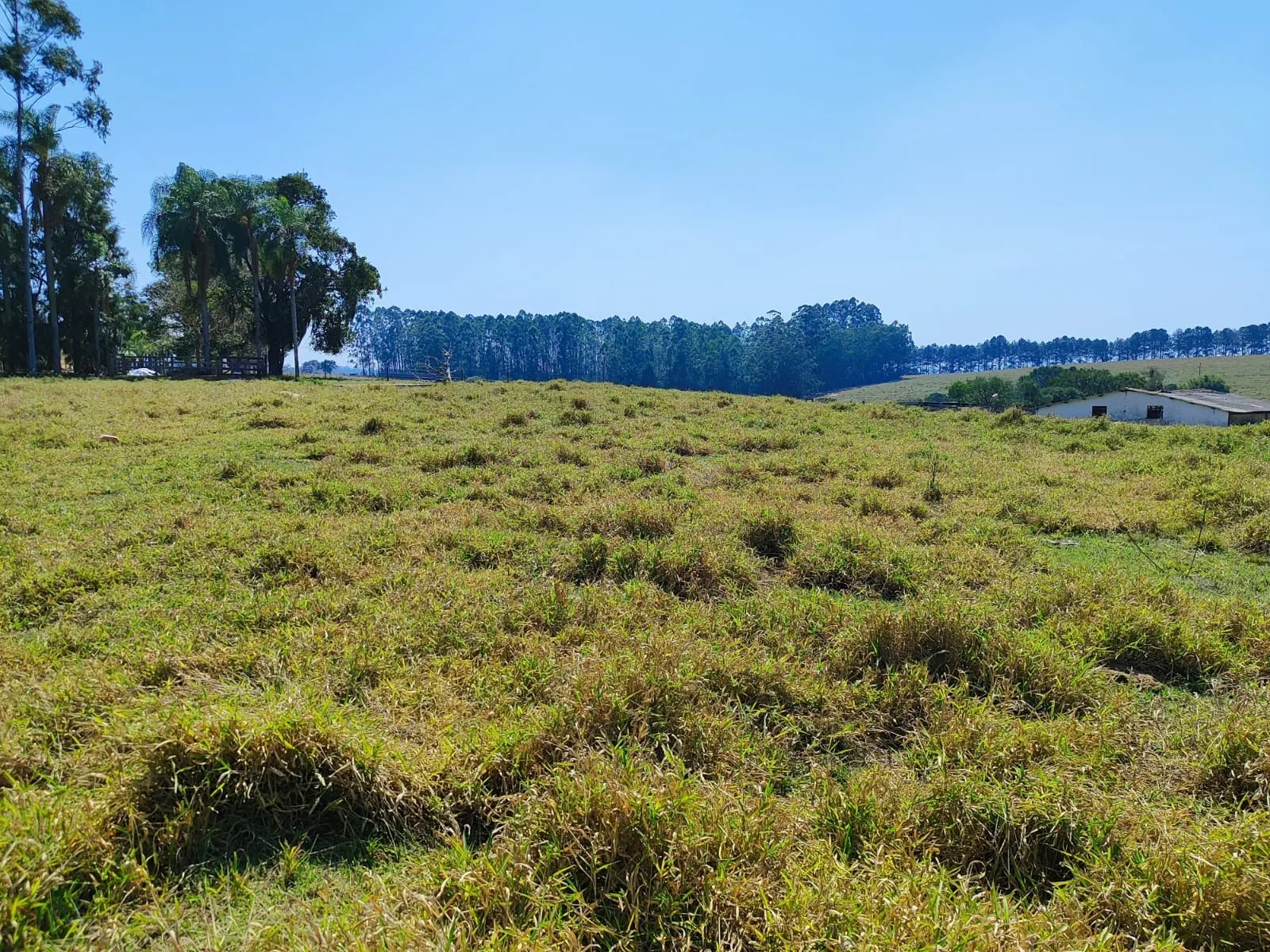 Sítio à venda de 30 ha em Itapetininga, SP, Brasil