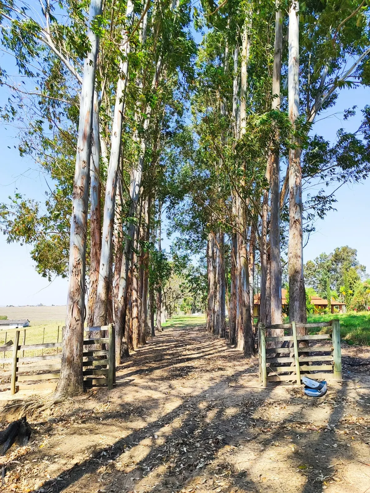 Sítio à venda de 30 ha em Itapetininga, SP, Brasil