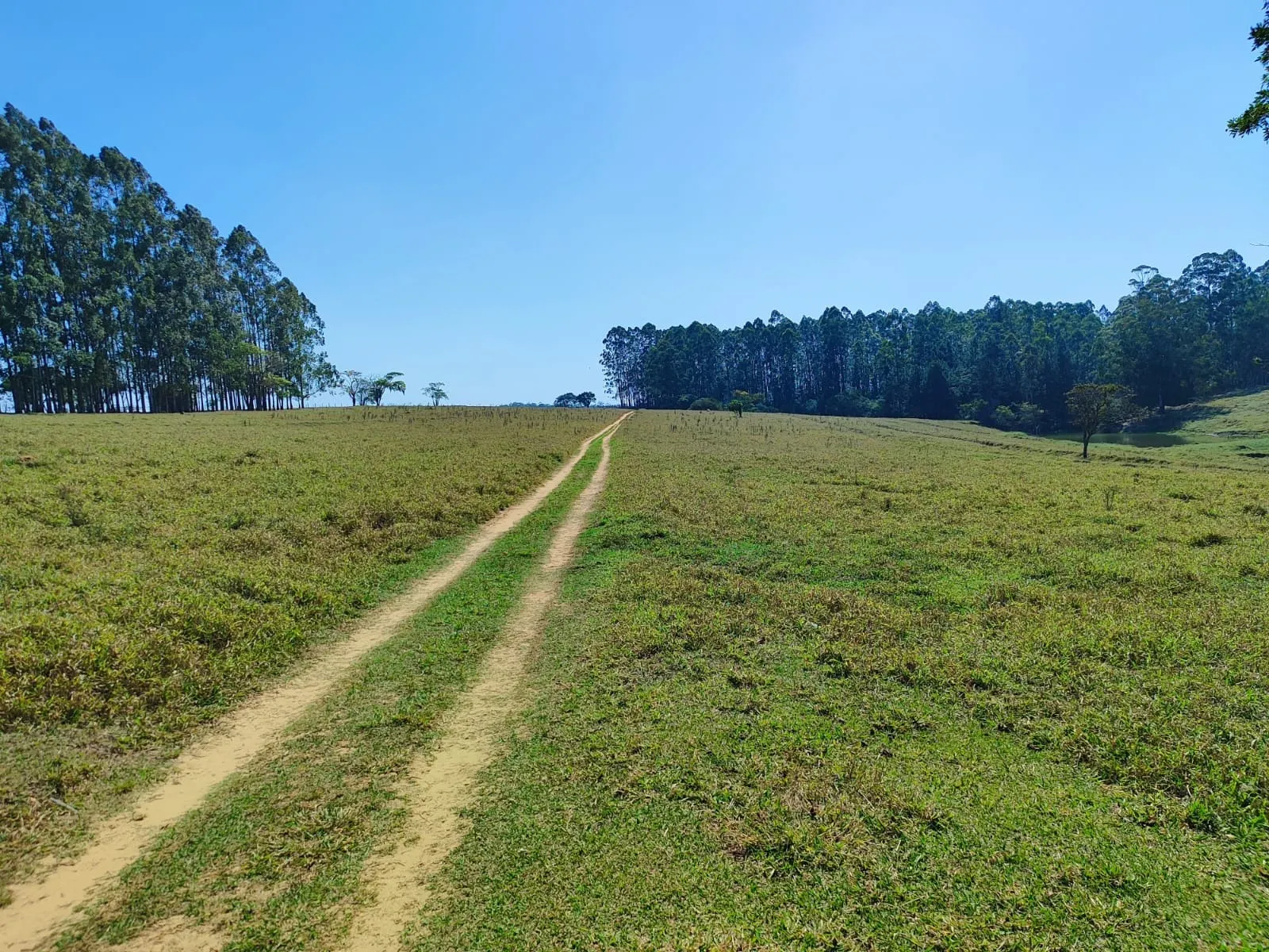Sítio à venda de 30 ha em Itapetininga, SP, Brasil