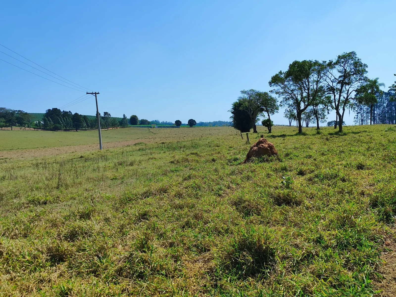 Sítio à venda de 30 ha em Itapetininga, SP, Brasil
