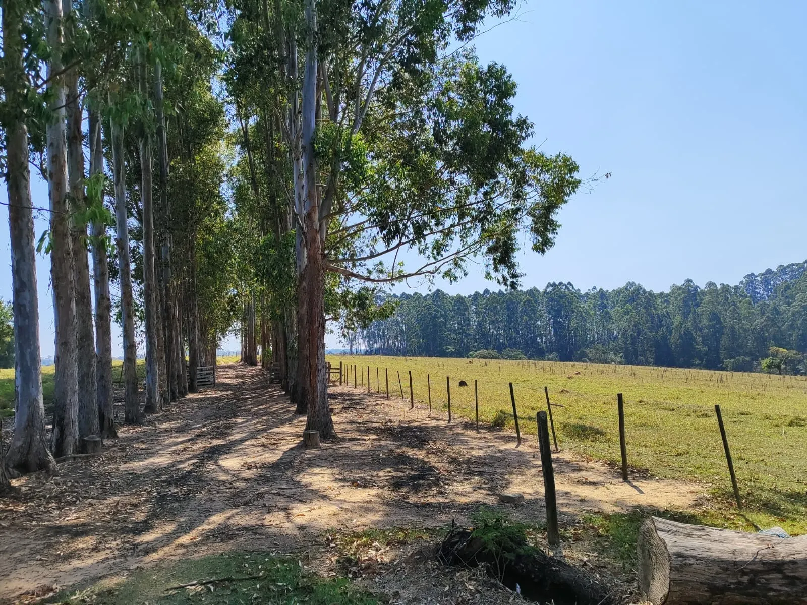 Sítio à venda de 30 ha em Itapetininga, SP, Brasil