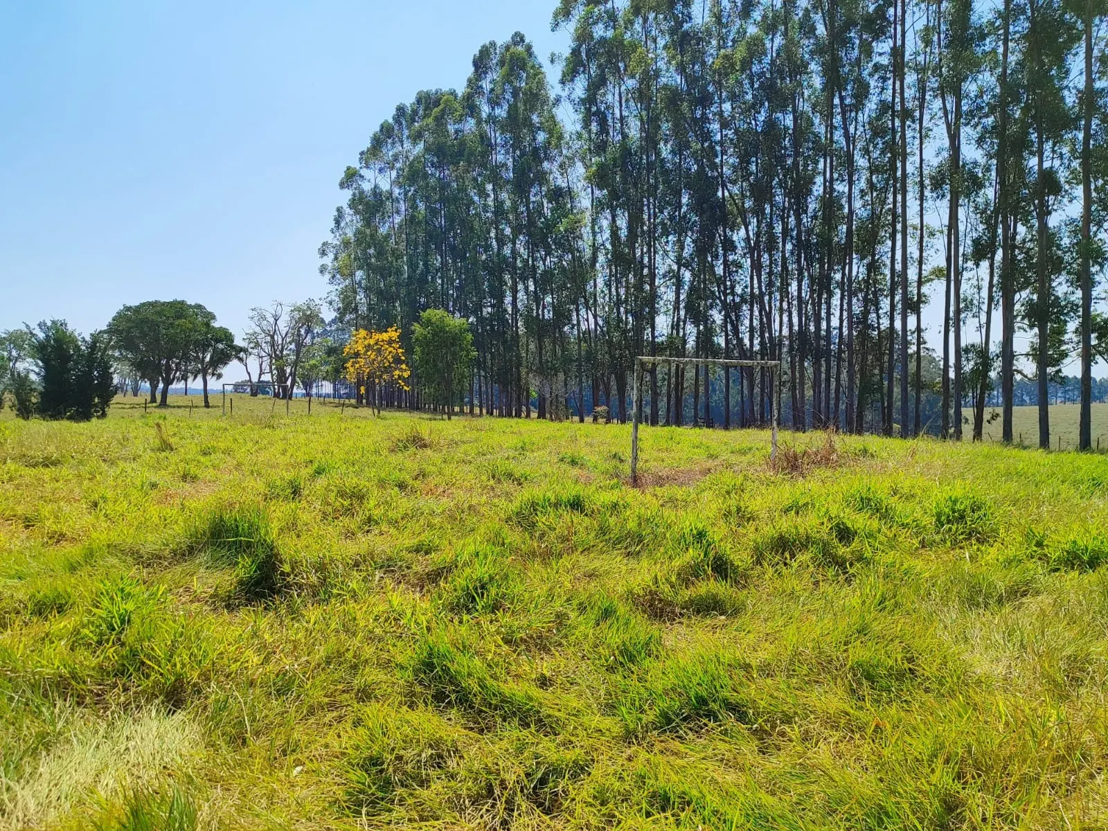 Sítio à venda de 30 ha em Itapetininga, SP, Brasil