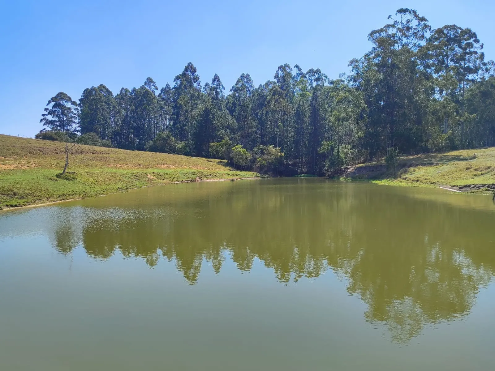 Sítio à venda de 30 ha em Itapetininga, SP, Brasil