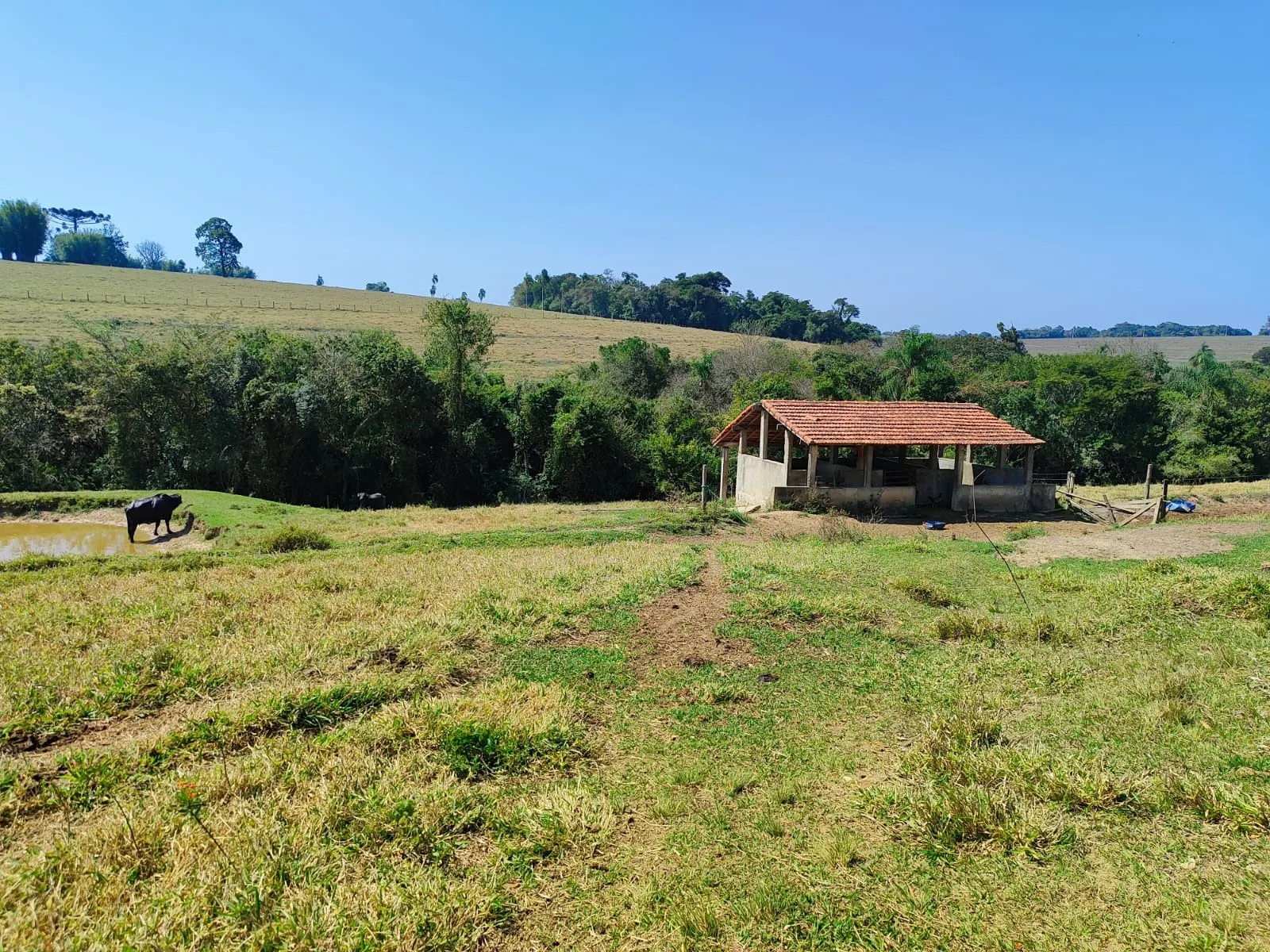 Sítio à venda de 30 ha em Itapetininga, SP, Brasil