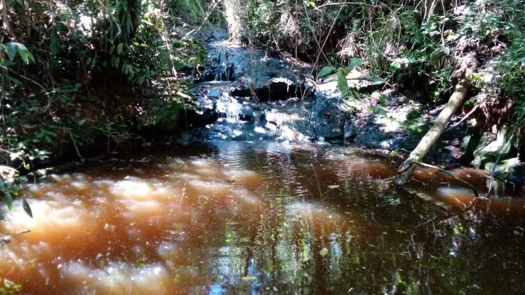 Sítio à venda de 87 ha em Paraibuna, SP, Brasil