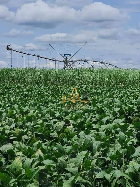 Fazenda à venda de 5.697 ha em Presidente Prudente, SP, Brasil