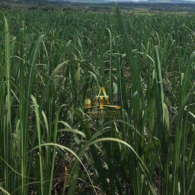 Fazenda à venda de 5.697 ha em Presidente Prudente, SP, Brasil