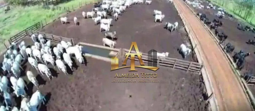 Fazenda à venda de 5.697 ha em Presidente Prudente, SP, Brasil