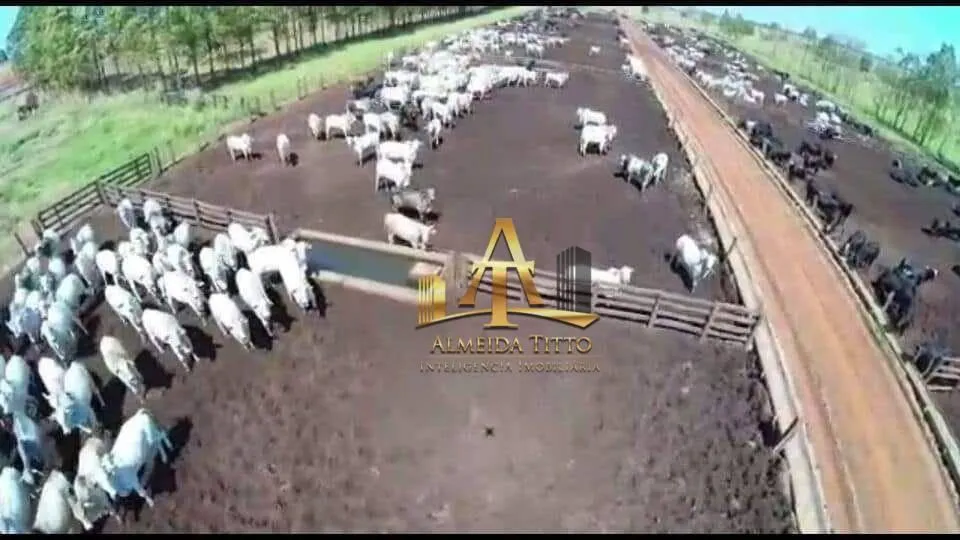 Fazenda à venda de 5.697 ha em Presidente Prudente, SP, Brasil