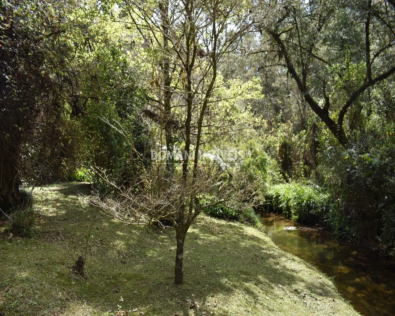 Sítio à venda de 12 ha em Campos do Jordão, SP, Brasil