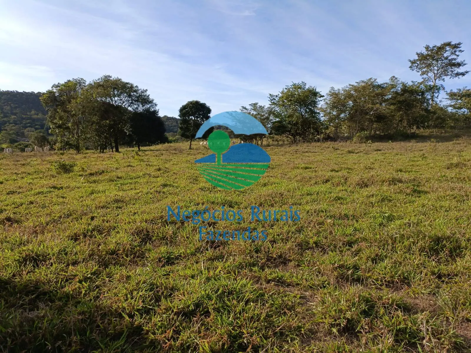 Fazenda à venda de 532 ha em Uruaçu, GO, Brasil