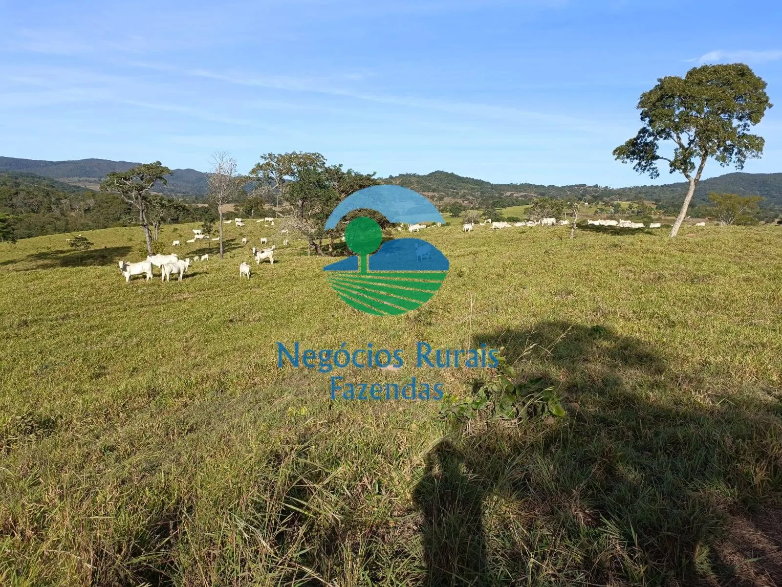 Fazenda à venda de 532 ha em Uruaçu, GO, Brasil