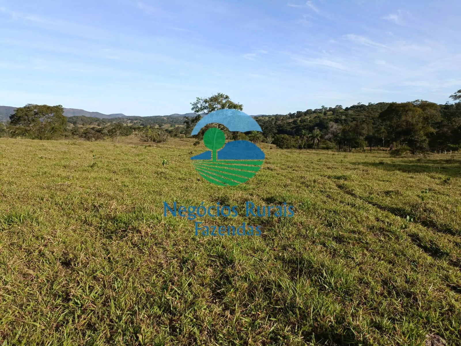 Fazenda à venda de 532 ha em Uruaçu, GO, Brasil