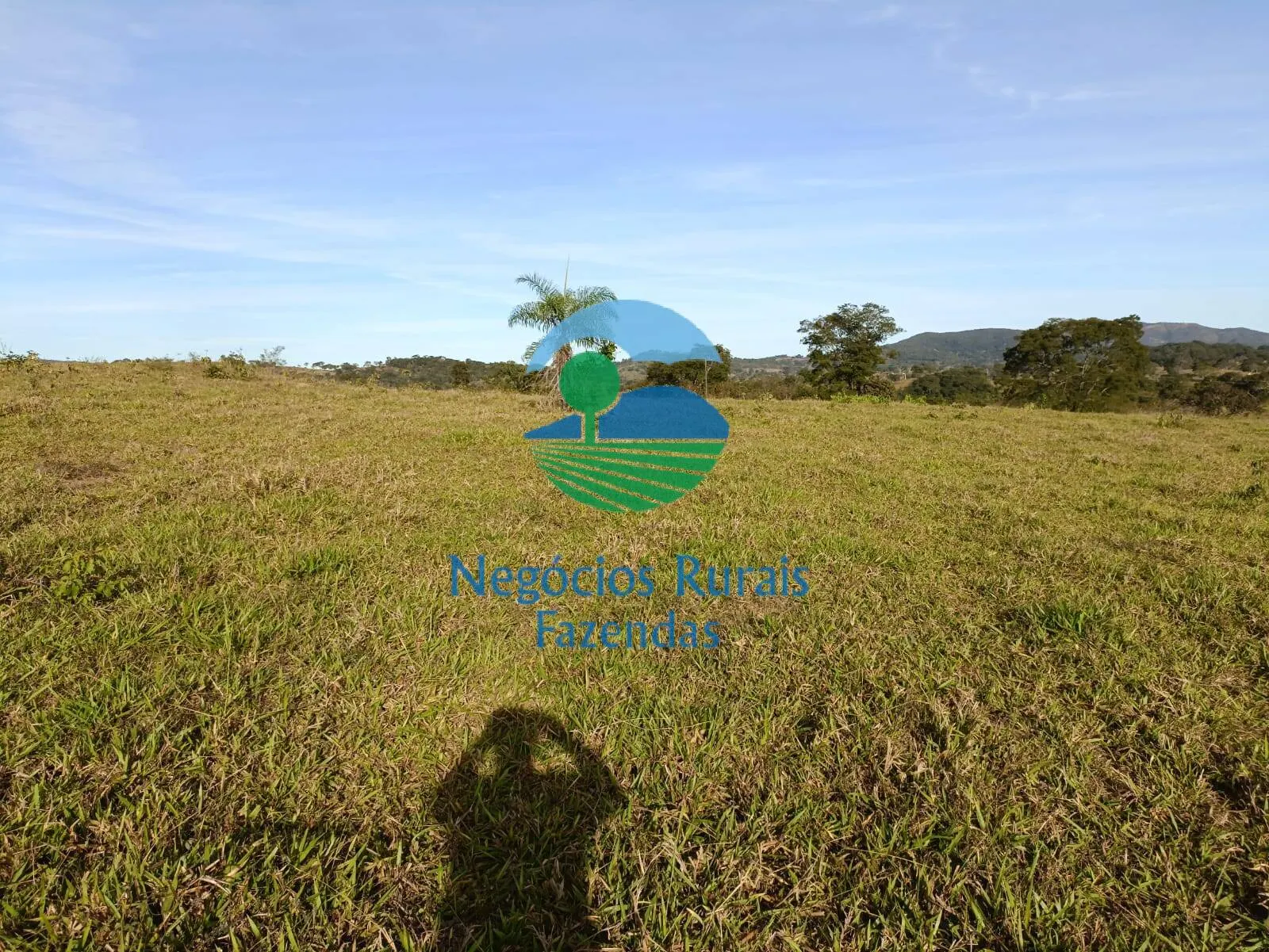 Fazenda à venda de 532 ha em Uruaçu, GO, Brasil