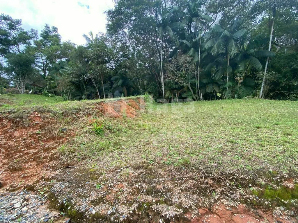 Fazenda à venda de 1.500 m² em Nova Trento, SC, Brasil