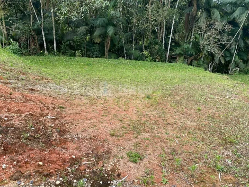 Fazenda à venda de 1.500 m² em Nova Trento, SC, Brasil